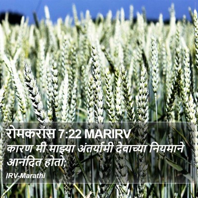 रोमकरांस 7:22 MARIRV Bible Verse Image