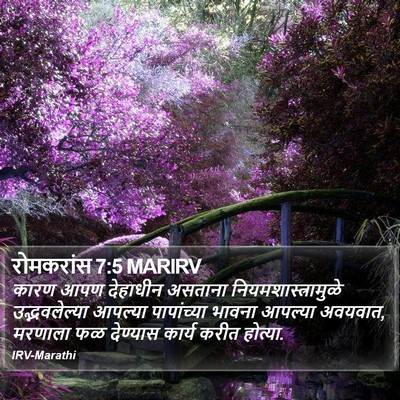 रोमकरांस 7:5 MARIRV Bible Verse Image