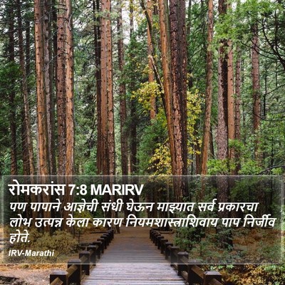 रोमकरांस 7:8 MARIRV Bible Verse Image