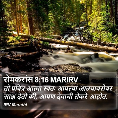 रोमकरांस 8:16 MARIRV Bible Verse Image