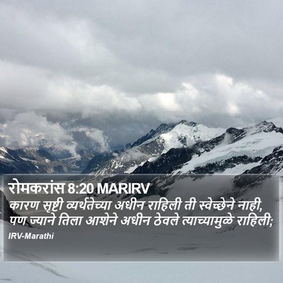 रोमकरांस 8:20 MARIRV Bible Verse Image
