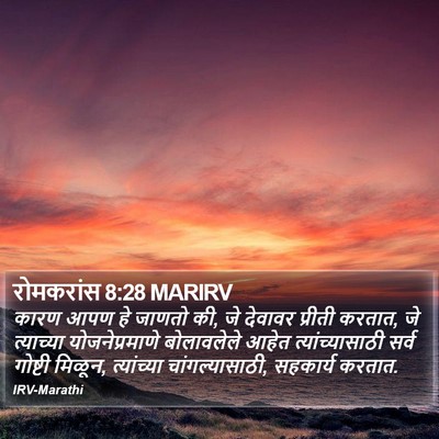 रोमकरांस 8:28 MARIRV Bible Verse Image