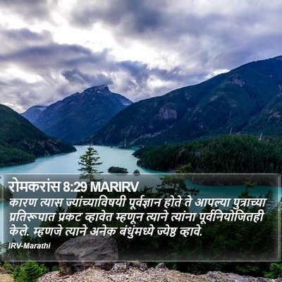 रोमकरांस 8:29 MARIRV Bible Verse Image