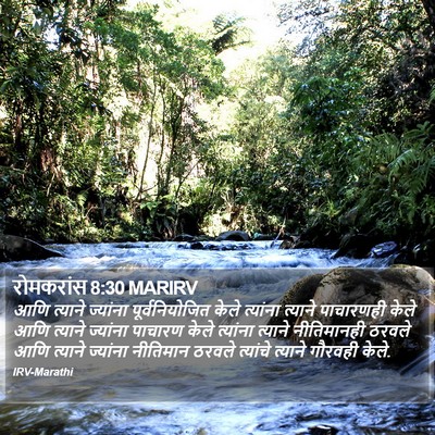 रोमकरांस 8:30 MARIRV Bible Verse Image