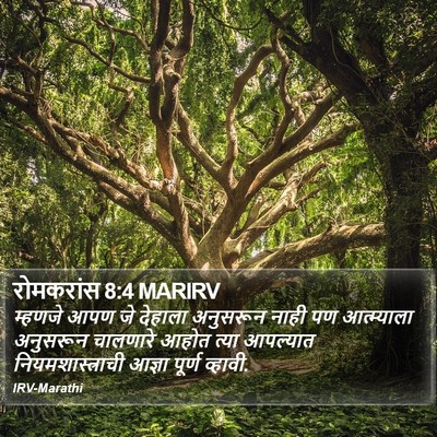 रोमकरांस 8:4 MARIRV Bible Verse Image