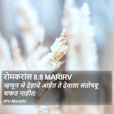 रोमकरांस 8:8 MARIRV Bible Verse Image