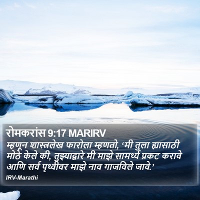 रोमकरांस 9:17 MARIRV Bible Verse Image