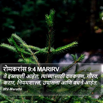 रोमकरांस 9:4 MARIRV Bible Verse Image
