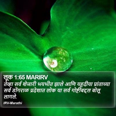 लूक 1:65 MARIRV Bible Verse Image