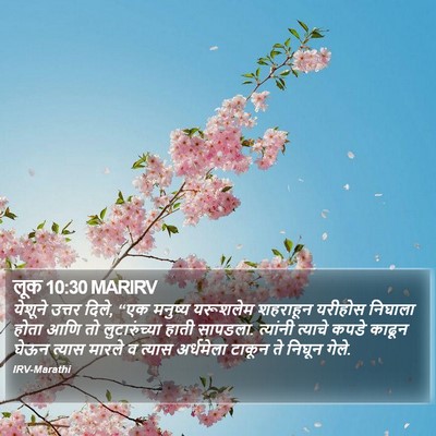 लूक 10:30 MARIRV Bible Verse Image