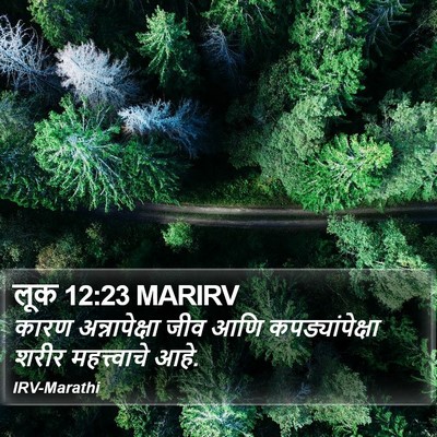लूक 12:23 MARIRV Bible Verse Image