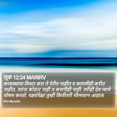 लूक 12:24 MARIRV Bible Verse Image