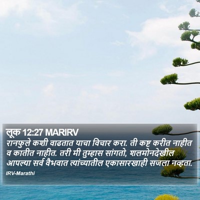 लूक 12:27 MARIRV Bible Verse Image