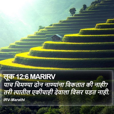 लूक 12:6 MARIRV Bible Verse Image