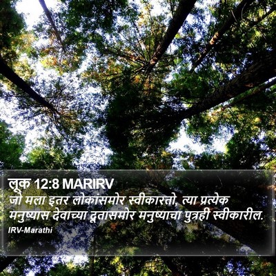 लूक 12:8 MARIRV Bible Verse Image