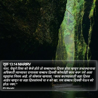 लूक 13:14 MARIRV Bible Verse Image
