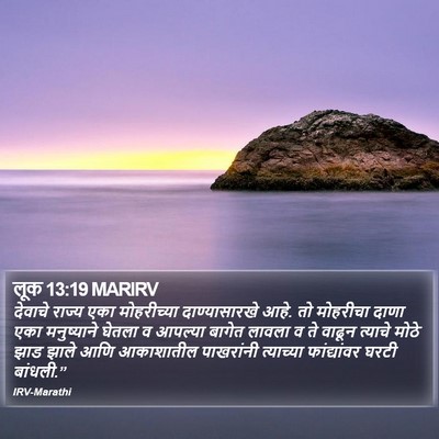 लूक 13:19 MARIRV Bible Verse Image
