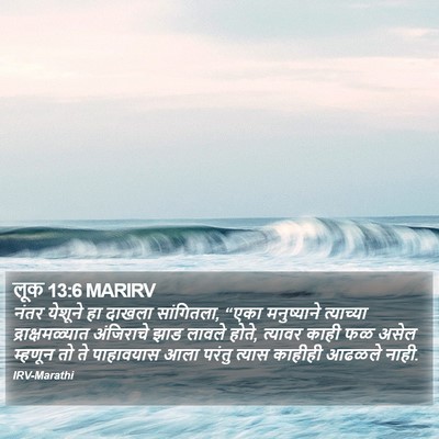 लूक 13:6 MARIRV Bible Verse Image