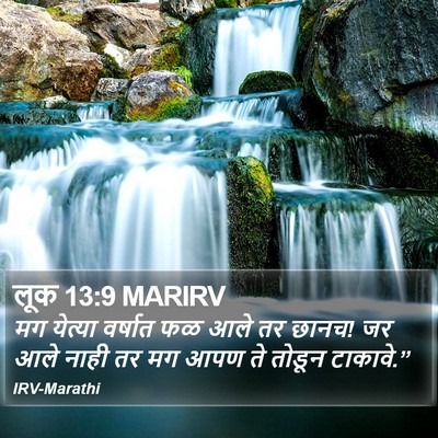 लूक 13:9 MARIRV Bible Verse Image