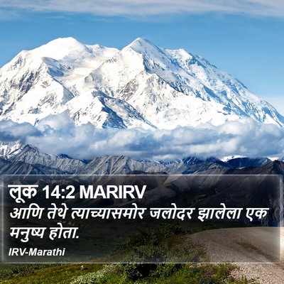 लूक 14:2 MARIRV Bible Verse Image