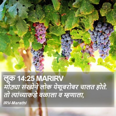लूक 14:25 MARIRV Bible Verse Image
