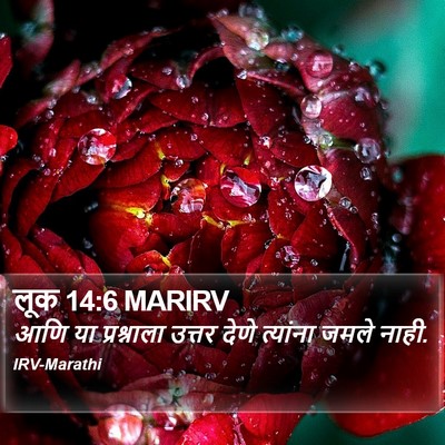 लूक 14:6 MARIRV Bible Verse Image