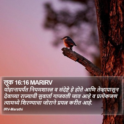 लूक 16:16 MARIRV Bible Verse Image