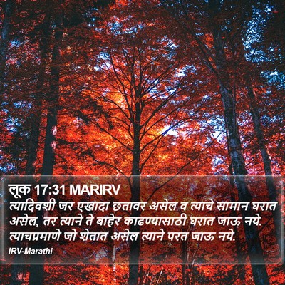 लूक 17:31 MARIRV Bible Verse Image
