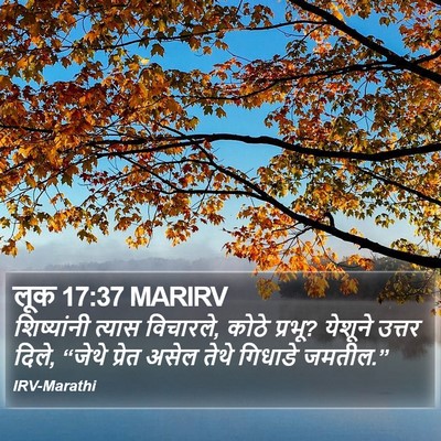 लूक 17:37 MARIRV Bible Verse Image