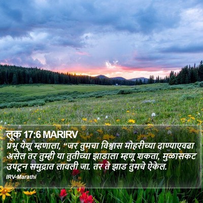 लूक 17:6 MARIRV Bible Verse Image