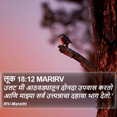 लूक 18:12 MARIRV Bible Verse Image