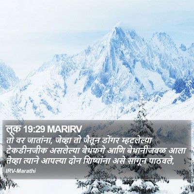 लूक 19:29 MARIRV Bible Verse Image