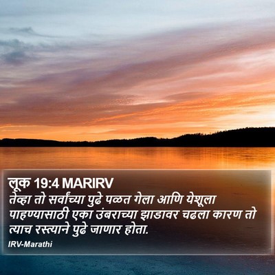 लूक 19:4 MARIRV Bible Verse Image