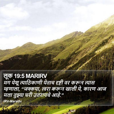 लूक 19:5 MARIRV Bible Verse Image
