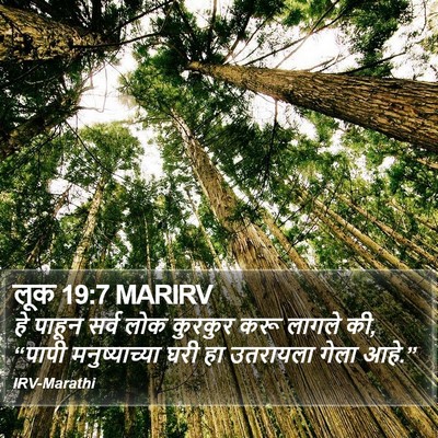 लूक 19:7 MARIRV Bible Verse Image