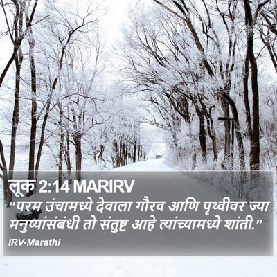 लूक 2:14 MARIRV Bible Verse Image