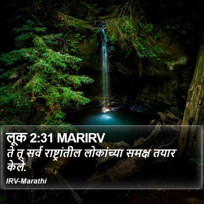 लूक 2:31 MARIRV Bible Verse Image