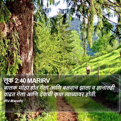 लूक 2:40 MARIRV Bible Verse Image