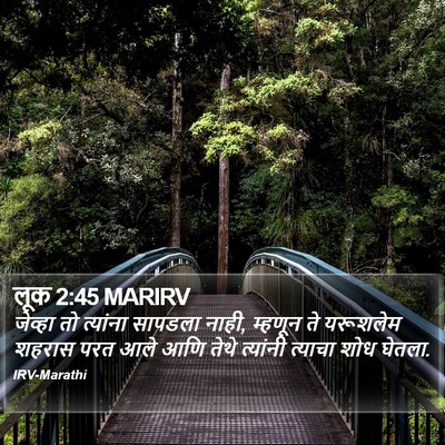 लूक 2:45 MARIRV Bible Verse Image