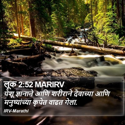 लूक 2:52 MARIRV Bible Verse Image