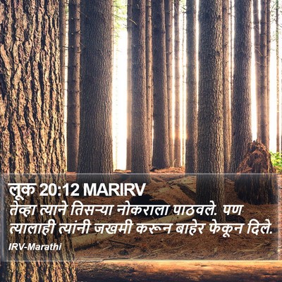 लूक 20:12 MARIRV Bible Verse Image