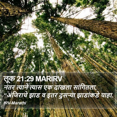 लूक 21:29 MARIRV Bible Verse Image