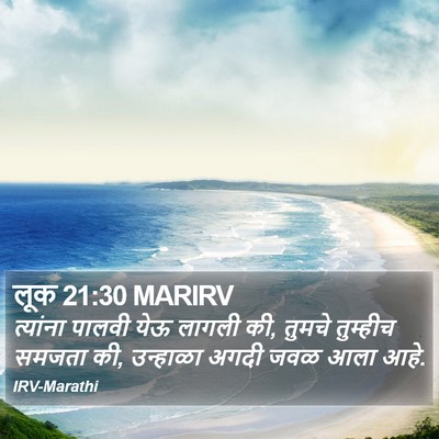 लूक 21:30 MARIRV Bible Verse Image