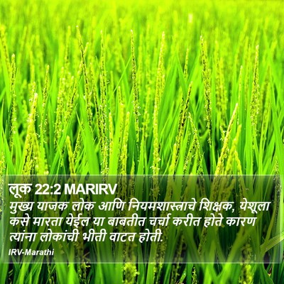 लूक 22:2 MARIRV Bible Verse Image