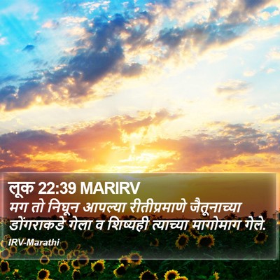 लूक 22:39 MARIRV Bible Verse Image