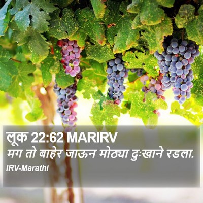 लूक 22:62 MARIRV Bible Verse Image