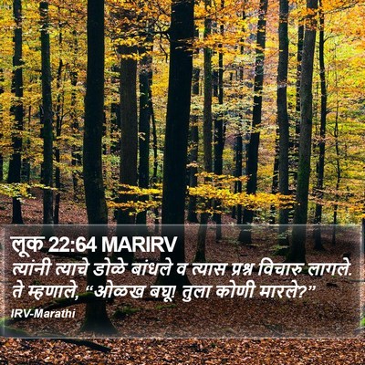 लूक 22:64 MARIRV Bible Verse Image