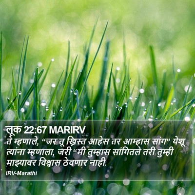 लूक 22:67 MARIRV Bible Verse Image