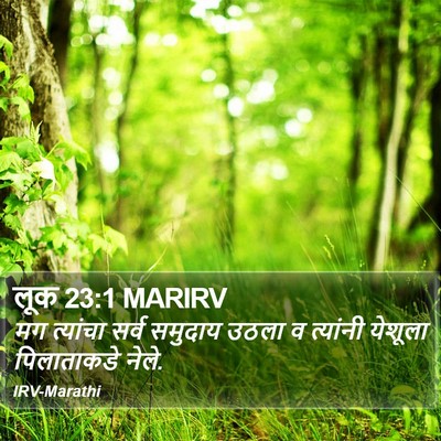 लूक 23:1 MARIRV Bible Verse Image