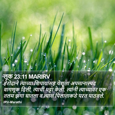 लूक 23:11 MARIRV Bible Verse Image